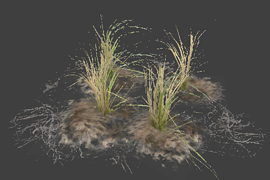 l10swamp_plant_group5