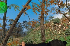 True_Far_Cry_Gloves