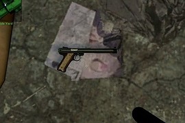 Ruger .22