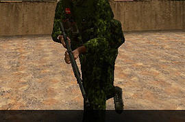 Danish_Woodland_Camo