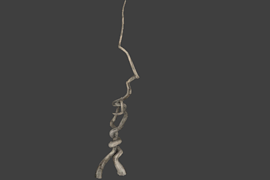tree_11
