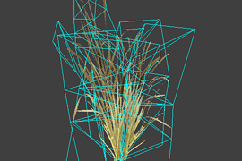 reed_4