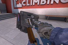 P90 police