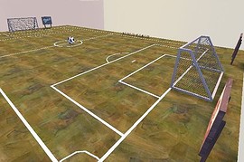 ctf_soccer