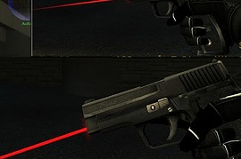 P228 with lasersight