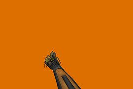 HL2 Antlion