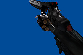 Taurus Raging Bull Two-toned