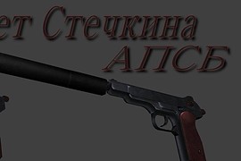 Flakk's Stechkin APSB