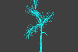 !tree_03big