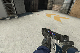 M16A2 Police
