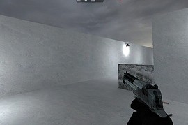 2 Toned Animated Deagle