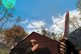 Bloody Knife Skin