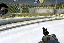 Magnum
