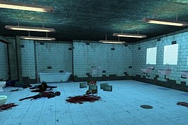 zm_run