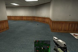 two toned p228