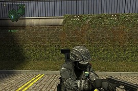 Two Gun