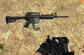 Anklors and CJ M4A1