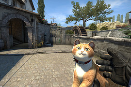 Cat gun