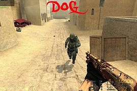 m3 dog