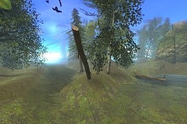 gm_forest2008