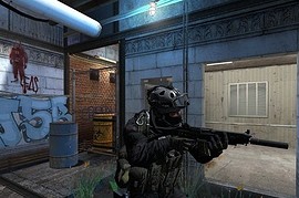 Sig 552
