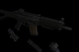 Sig 552