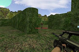 aim_maze