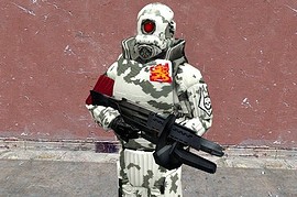 Combine Camo Pack