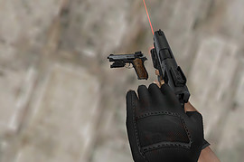Kim s MK22 On TS Anims