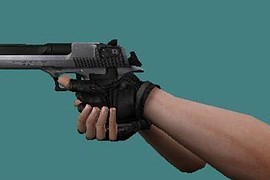Two-tone Desert Eagle + Jen s Anime