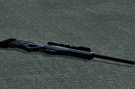 Winter Awp