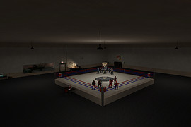 arena_TopSecretBoxingMelee