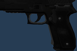 Sig Sauer P226 Black & White
