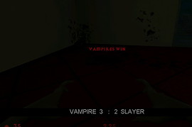 Vampire Slayer