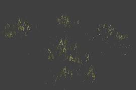 grass_pack_big