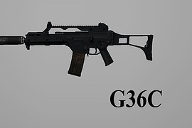 G36C