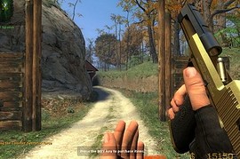 LE2 Toned Golden Hav0c Deagle
