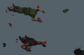 Animated LAca Models