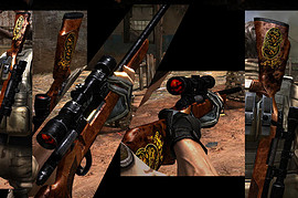 RE5 Cerberus Weapon Pack