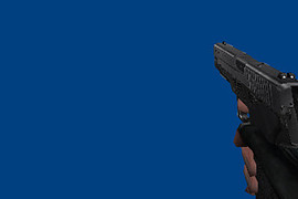 Sig Sauer P226 Custom