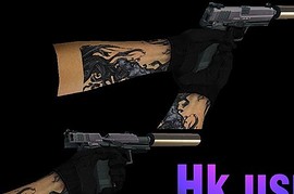 hk usp 2006