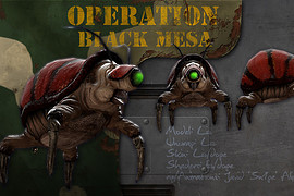 Operation Black Mesa