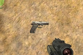 Fort new anims