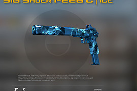 SIG Sauer P226 C