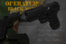 Operation Black Mesa