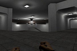 zm_ob_guineacage_b6