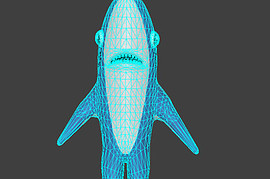 Shark