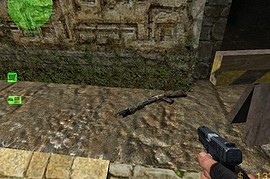 Woodland Camo Shotgun