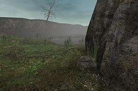 dm_swamp