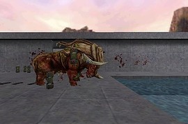 half_life_pool_day2
